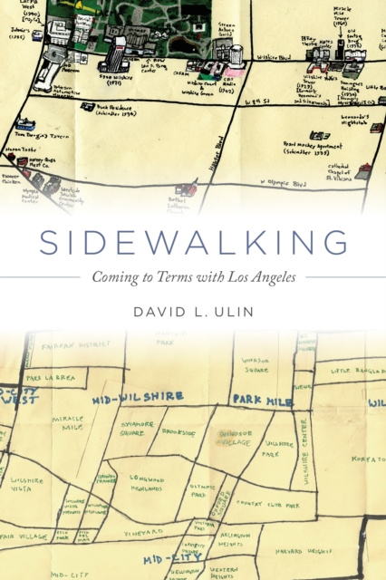 E-knjiga Sidewalking David L. Ulin