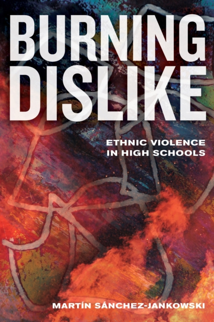 E-knjiga Burning Dislike Martin Sanchez-Jankowski