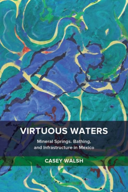 E-book Virtuous Waters Casey Walsh