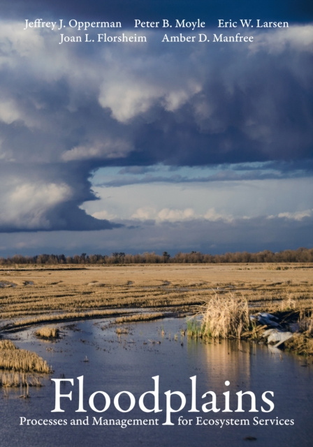 E-kniha Floodplains Jeffrey J. Opperman