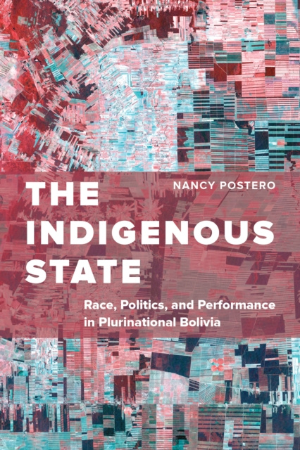 E-book Indigenous State Nancy Postero