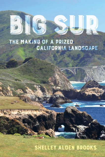 E-knjiga Big Sur Shelley Alden Brooks
