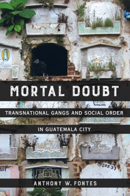 E-knjiga Mortal Doubt Anthony W. Fontes