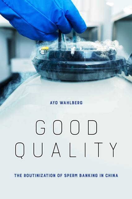 E-book Good Quality Ayo Wahlberg