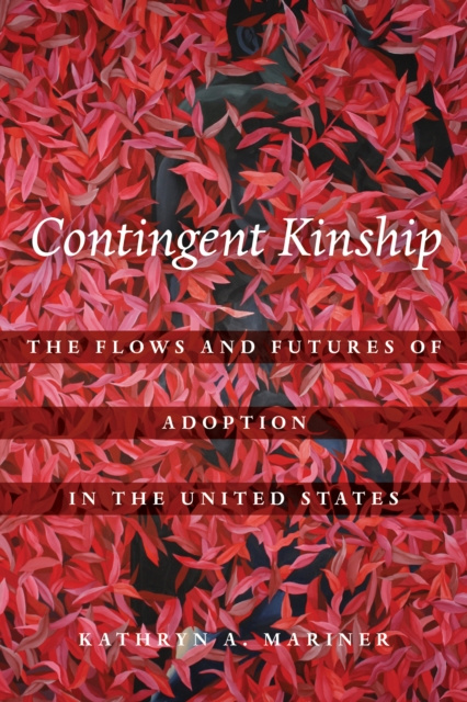 E-knjiga Contingent Kinship Kathryn A. Mariner