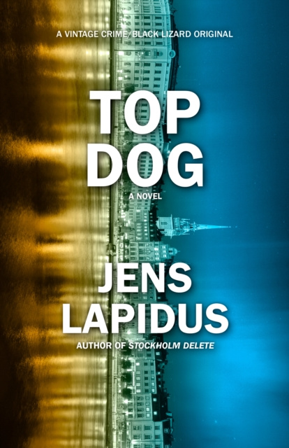 E-kniha Top Dog Jens Lapidus