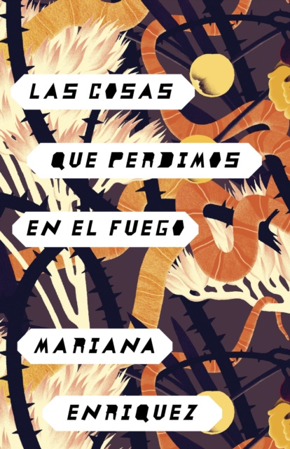 E-kniha Las cosas que perdimos en el fuego Mariana Enriquez