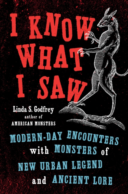 E-book I Know What I Saw Linda S Godfrey