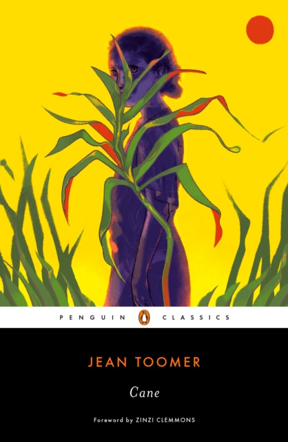 E-book Cane Jean Toomer