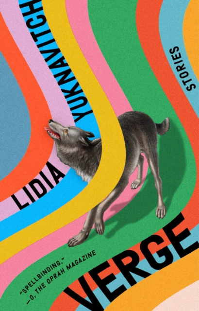 E-knjiga Verge Lidia Yuknavitch