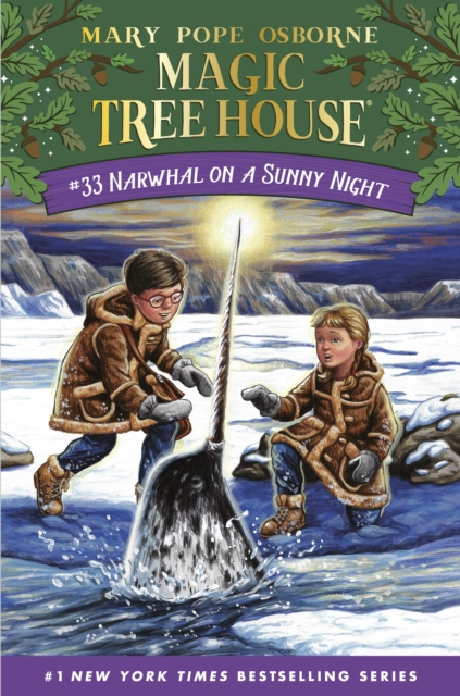 E-book Narwhal on a Sunny Night Mary Pope Osborne