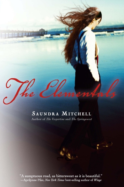E-knjiga Elementals Saundra Mitchell