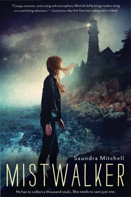 E-knjiga Mistwalker Saundra Mitchell