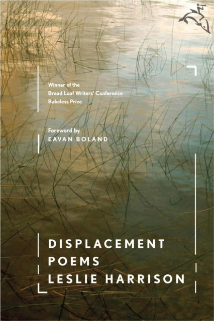 E-book Displacement Leslie Harrison