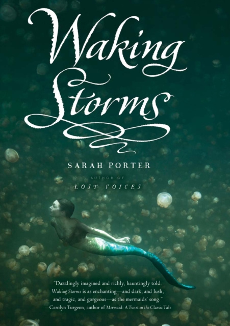 E-book Waking Storms Sarah Porter
