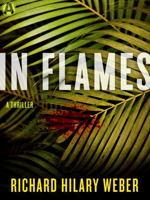 E-book In Flames Richard Hilary Weber