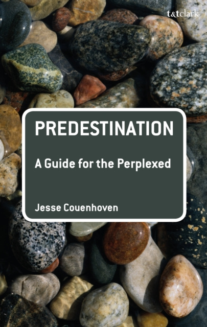 E-kniha Predestination: A Guide for the Perplexed Couenhoven Jesse Couenhoven