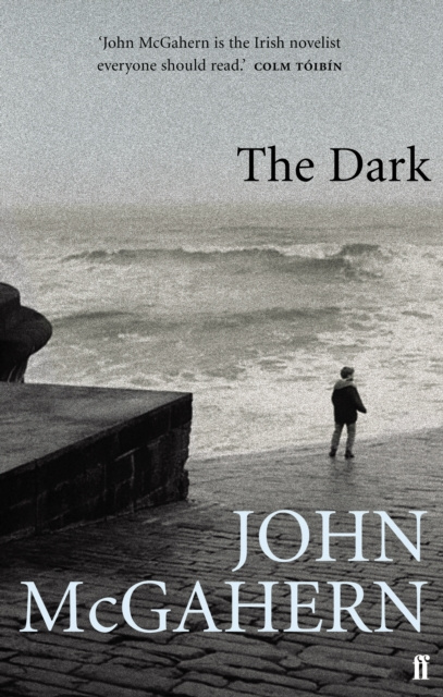 E-book Dark John McGahern