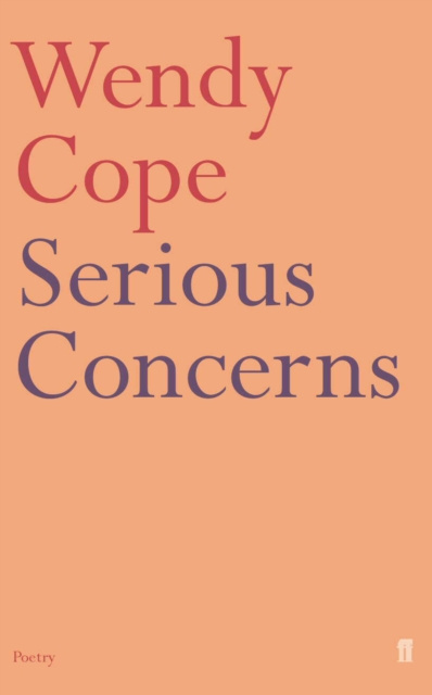 E-kniha Serious Concerns Wendy Cope