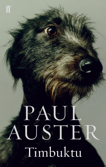 E-book Timbuktu Paul Auster