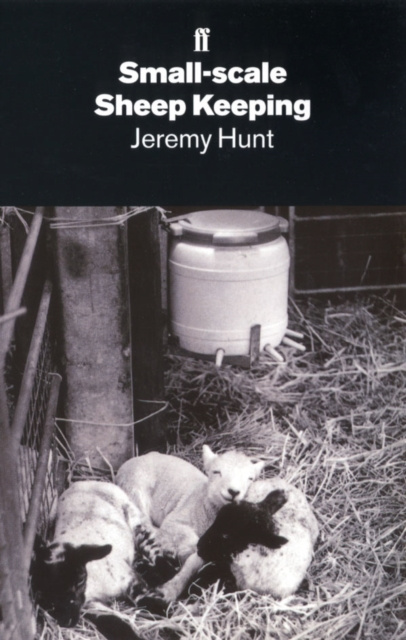 E-kniha Small-Scale Sheep Keeping Jeremy Hunt