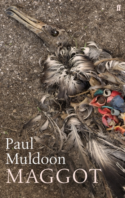 E-knjiga Maggot Paul Muldoon