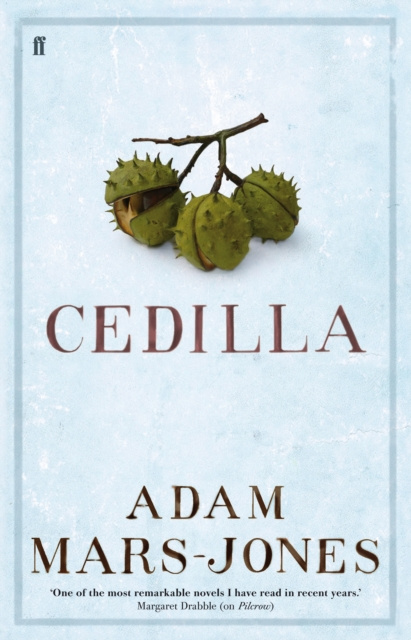 E-book Cedilla Adam Mars-Jones