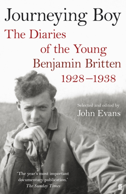 E-knjiga Journeying Boy John Evans