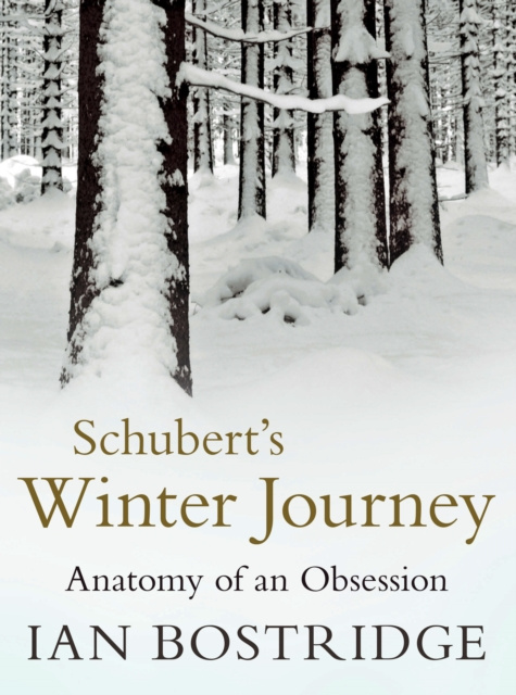 E-book Schubert's Winter Journey Ian Bostridge