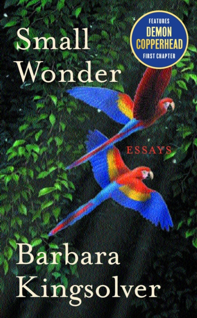 E-knjiga Small Wonder Barbara Kingsolver