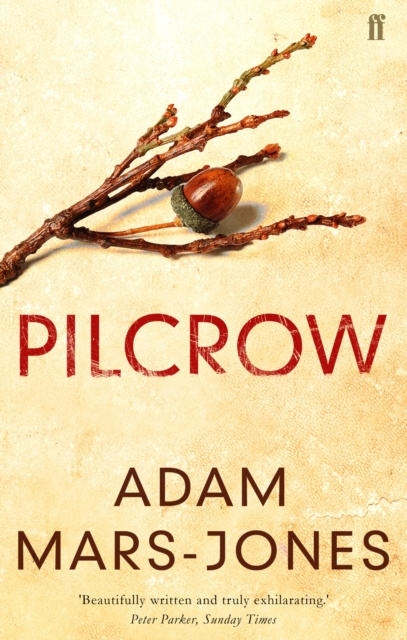 E-Book Pilcrow Adam Mars-Jones