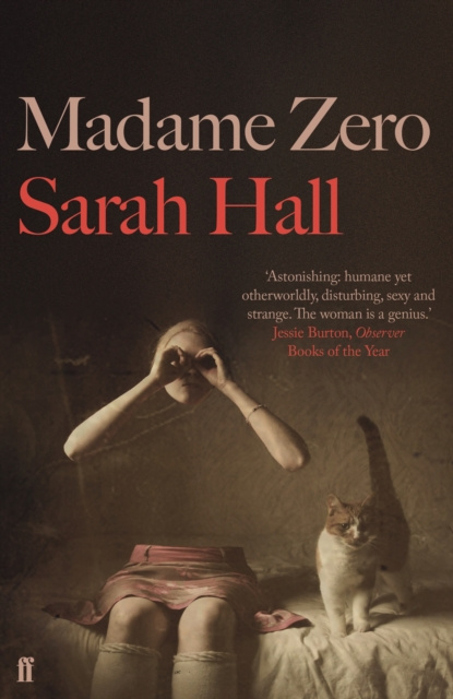 E-knjiga Madame Zero Sarah Hall