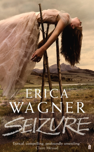 E-book Seizure Erica Wagner