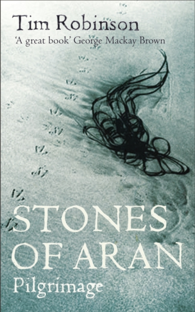 E-knjiga Stones of Aran Tom Robbins