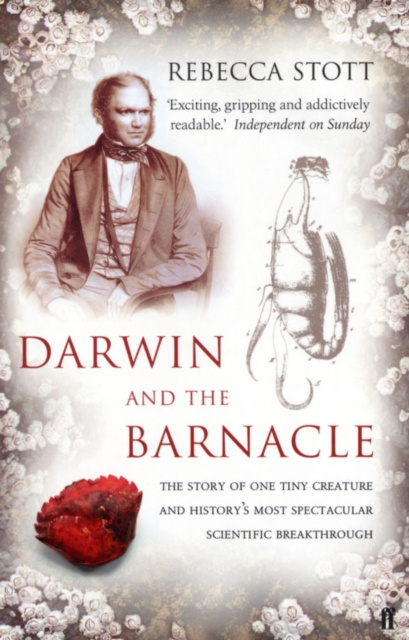 E-book Darwin and the Barnacle Rebecca Stott