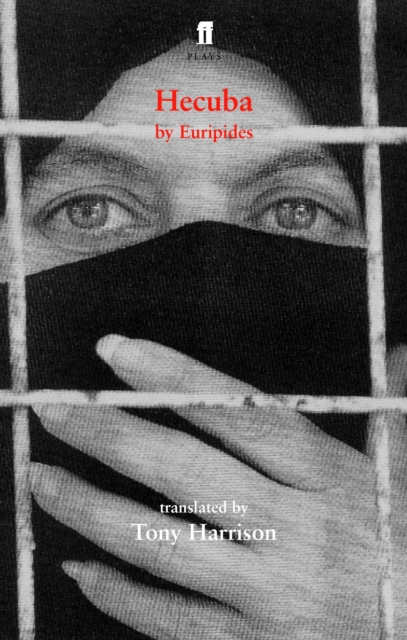 E-book Hecuba Euripides