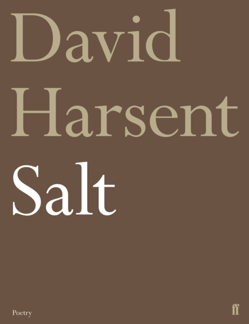 E-knjiga Salt David Harsent