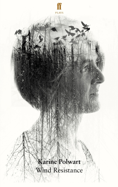 E-knjiga Wind Resistance Karine Polwart Ltd