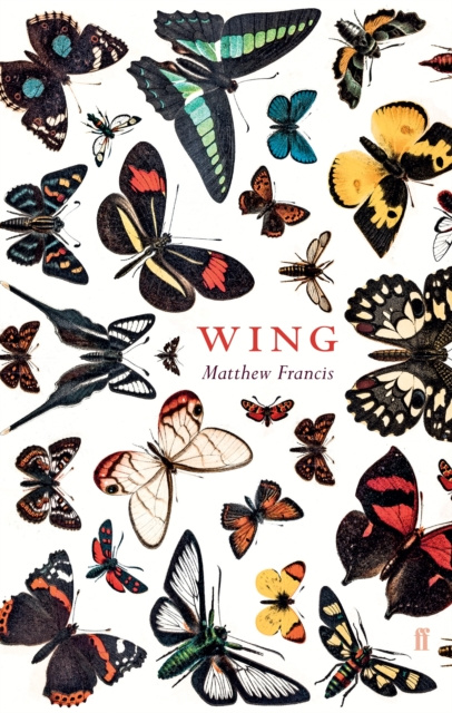 E-book Wing Matthew Francis