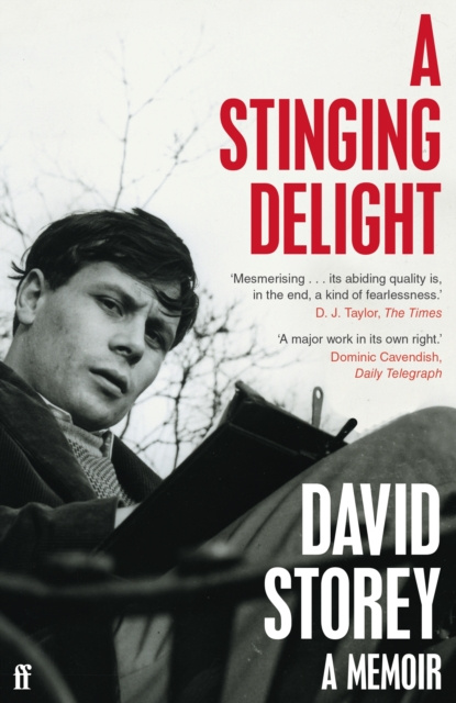 E-knjiga Stinging Delight David Storey