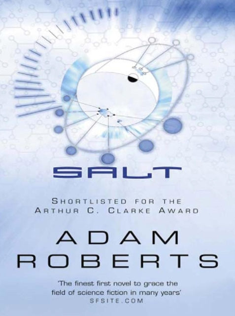 E-book Salt Adam Roberts