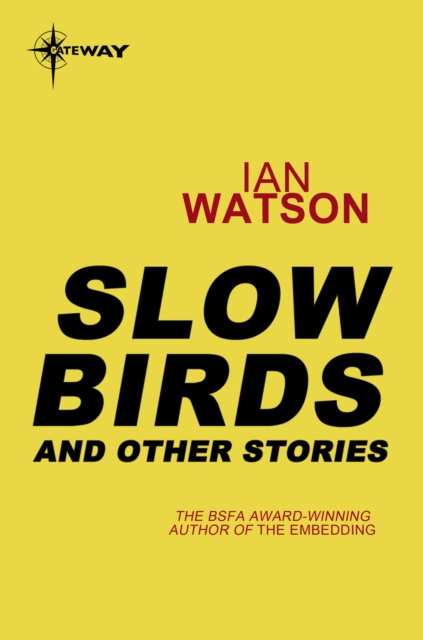 E-knjiga Slow Birds: And Other Stories Ian Watson