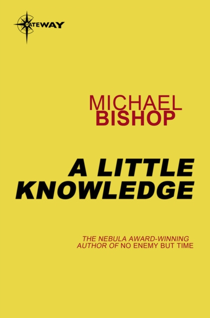 E-kniha Little Knowledge Michael Bishop