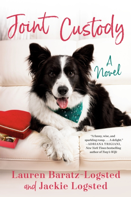 E-book Joint Custody Lauren Baratz-Logsted