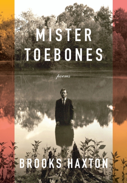 E-book Mister Toebones Brooks Haxton