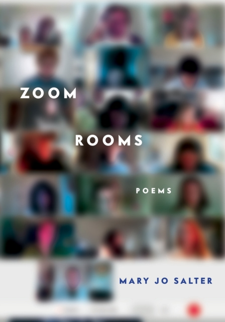 E-knjiga Zoom Rooms Mary Jo Salter