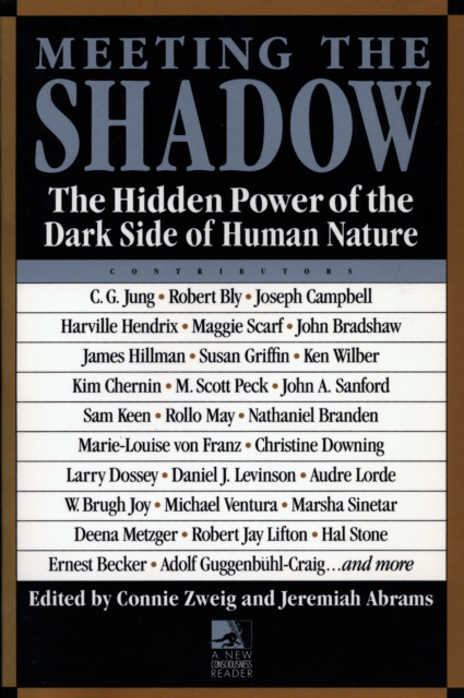 E-kniha Meeting the Shadow Connie Zweig