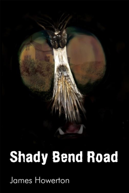 E-book Shady Bend Road James Howerton