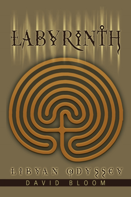 E-knjiga Labyrinth David Bloom
