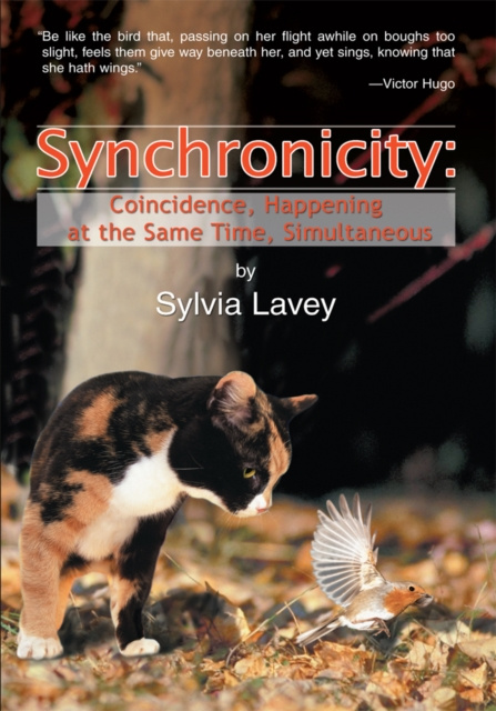 E-knjiga Synchronicity Sylvia Lavey